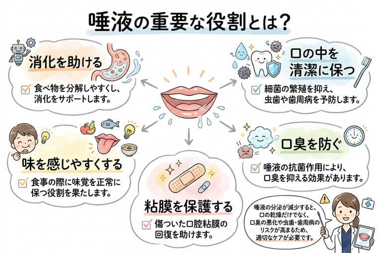 唾液の重要な役割とは？の図解