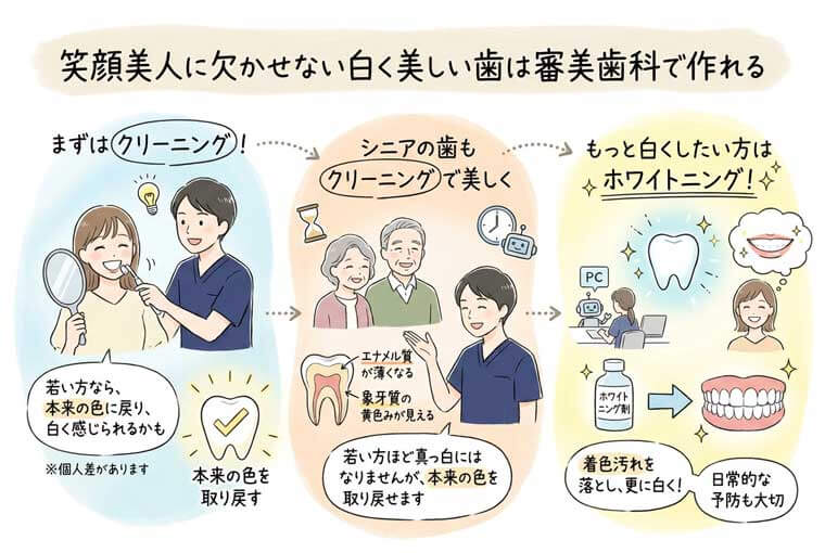 笑顔美人に欠かせない白く美しい歯は審美歯科で作れるの図解