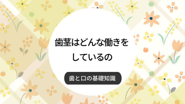 歯茎はどんな働きをしているの？