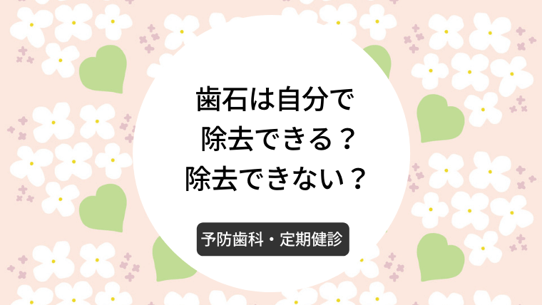 歯石は自分で除去できる？除去できない？