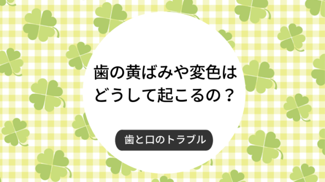 歯の黄ばみや変色はどうして起こるの？