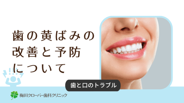 歯の黄ばみの改善と予防について