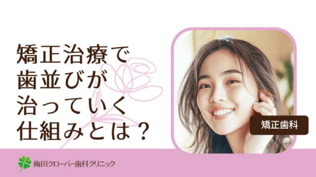 矯正治療で歯並びが治っていく仕組みとは？