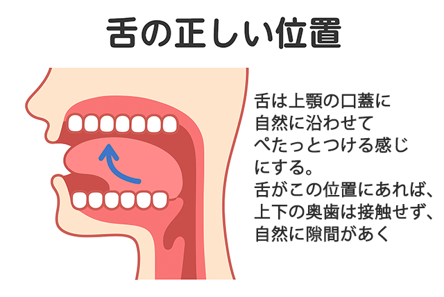 舌の正しい位置