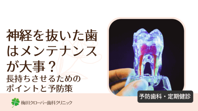 神経を抜いた歯はメンテナンスが大事？
