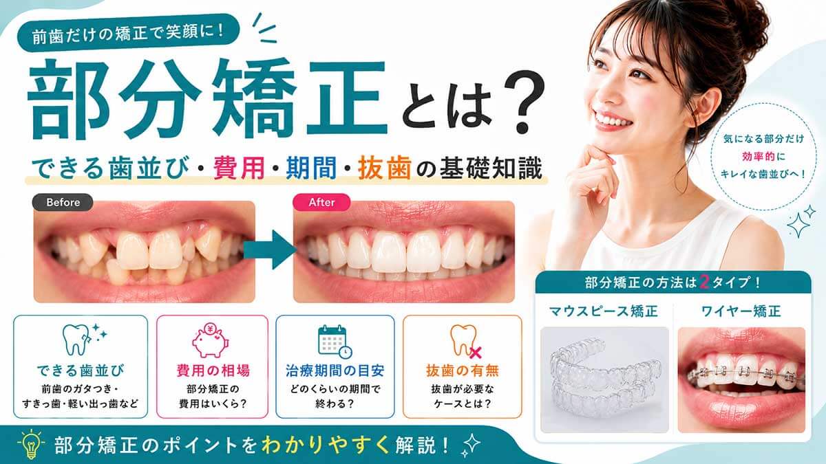 部分矯正とは?できる歯並び・費用・期間・抜歯の基礎知識