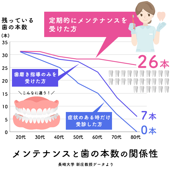 メンテナンスと歯の本数
